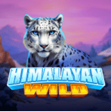Himalayan Wild